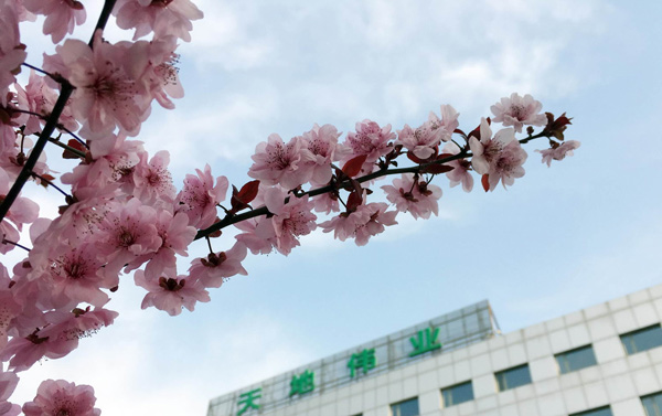 必发集团welcome接待光临(中国游)官网app下载